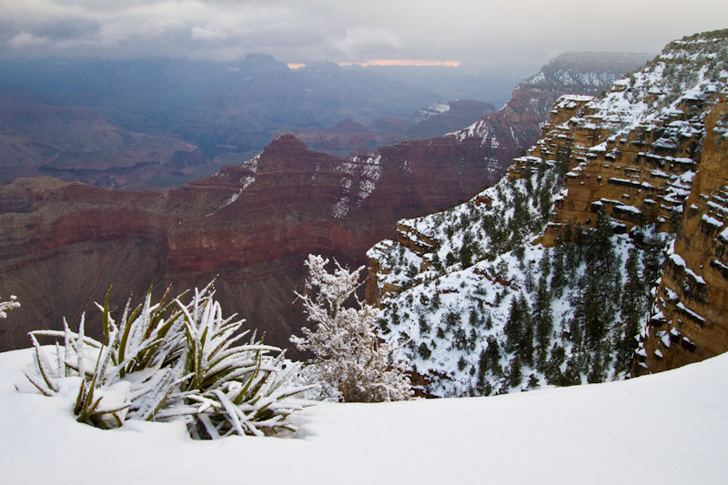 The Grand Canyon